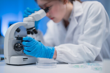 Scientist wearing lab coat and gloves adjusting microscope, working with petri dishes in...