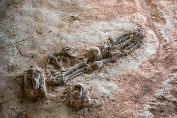 Human and dog skeletons with Dvaravati period items discovered in Si Thep Historical Park, Phetchabun Province, Thailand.
