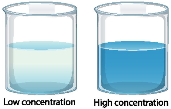 Comparison of Low and High Concentration Solutions