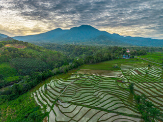 Aerial view of Indonesia's lush rice fields with majestic mountain backdrop, showcasing natural...