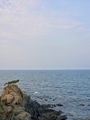 Peaceful natural landscape, trees growing on the shore, pine trees and calm seascape background, Yeongdeok sea, South Korea - 평화로운 자연 풍경, 해안가에 자라는 나무, 해송과 고요한 바다 풍경 배경, 영덕, 한국