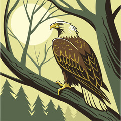 eagle on a branch