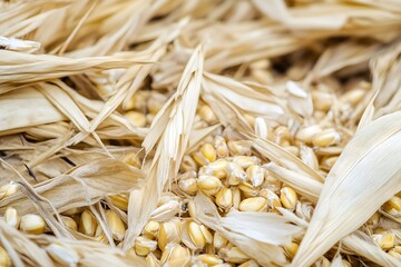 Dried Corn Husks and Kernels Beige Yellow Texture image