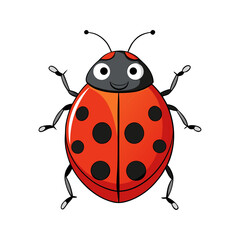 Fototapeta premium Cute ladybug cartoon vector illustration isolated on a white background