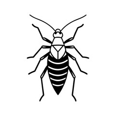 Striped bug vector illustration insect pest wildlife nature entomology graphic art vector illustration isolated on a white background