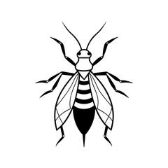 Striped insect vector art bee wasp fly bug flying insect flying creature vector illustration isolated on a white background