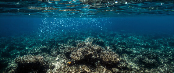 Fototapeta premium Solarpunk AI Technology Monitoring Pristine Coral Reef Health with Ethereal Glow