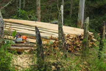 An adult man dressed in a blue t-shirt and pants with a wheat-colored complexion is cutting down pine trees with a yellow chainsaw to gather wood for the construction of houses, bases, beds, etc. He d
