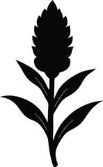 Celosia Vector Silhouette in Minimal Clean and Simple Style Silhouette Vector Art Illustration