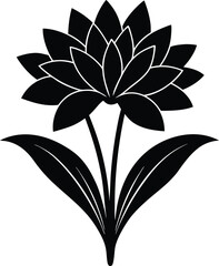 Clivia Vector Silhouette in Minimal Clean and Simple Style Silhouette Vector Art Illustration