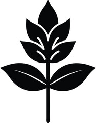 Ginger Lily Vector Silhouette in Minimal Clean and Simple Style Silhouette Vector Art Illustration