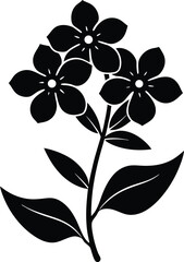 Phlox Vector Silhouette in Minimal Clean and Simple Style Silhouette Vector Art Illustration