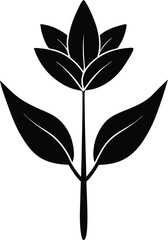 Sage Flower Vector Silhouette in Minimal Clean and Simple Style Silhouette Vector Art Illustration