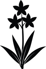 Watsonia Vector Silhouette in Minimal Clean and Simple Style Silhouette Vector Art Illustration