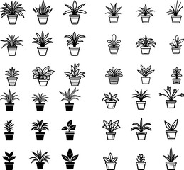spider plant icons, spider plant, chlorophytum comosum, air purifying plant, indoor plant, hanging plant, potted spider plant, green and white leaves, variegated plant, leafy houseplant