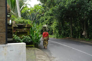 Balinese Woman in Traditional Sarong Carrying Palm Leaves
