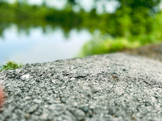 green grass on the road
