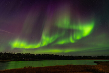 Northern Light, Aurora Borealis over the Forest, Yellowknife, Northwest Territories, Canada