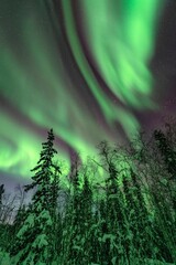 Northern Light, Aurora Borealis over the Forest, Yellowknife, Northwest Territories, Canada © Seongpil Jang