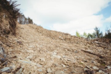 Flat design is showing rocky hillside slope rising to ridge with loose stones and sparse conifers