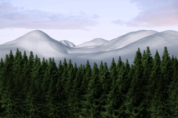 Fototapeta premium Fir tree forest in snowy land