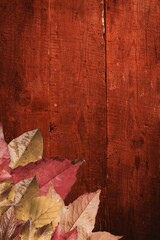 Cluster of fallen autumn leaves is lying on flat design wooden backdrop, seasonal fall, copy space