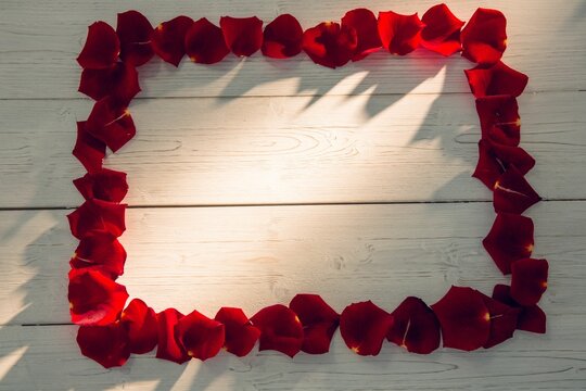 Fototapeta Frame of rose petals with copy space