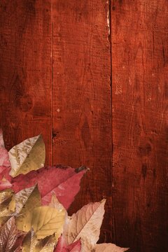 Fototapeta Cluster of fallen autumn leaves is lying on flat design wooden backdrop, seasonal fall, copy space