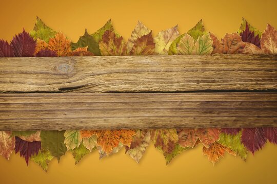 Fototapeta Rustic wooden plank is spanning center in flat design with golden gradient backdrop, autumn leaves
