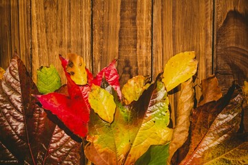 Fototapeta premium Wooden table with autumn leaves