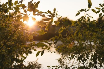 Fototapeta premium autumn leaves in front of a lake