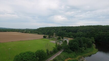 High angle view of trees growing by field