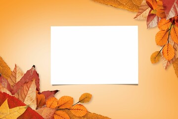 Fototapeta premium Autumn leaves with yellow note