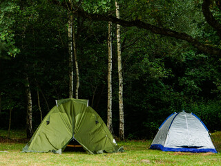 Tents for tourists in the forest.