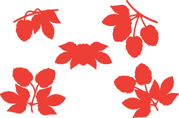 Red Japanese Maple Autumn Leaf Flat Vector,maple, red, autumn, Japanese, flat, leaf, seasonal, vector, foliage, fall