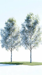 3D Render Blooming Trees Landscape
