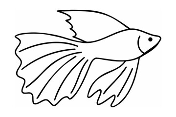 Elegant betta fish with flowing fins aquatic animal