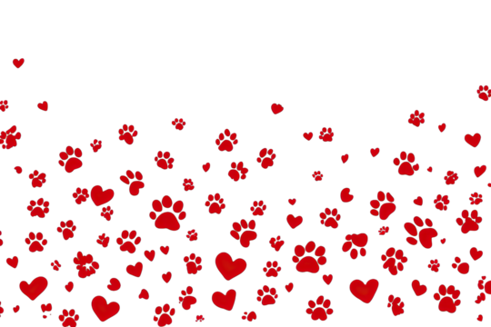Red hearts and paw prints confetti on black background