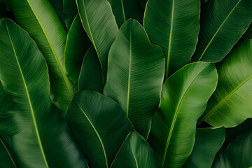 Lush Green Tropical Leaf Background Illustration