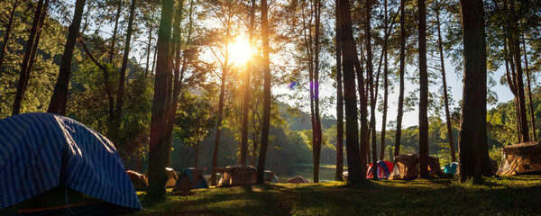 Banner Sunbeam shining through tree sunny ray lens flare sunlight amazing landscape beauty in...