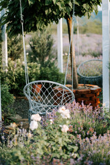 Cozy garden swing surrounded by blooming lavender and lush greenery in summer sunlight