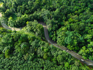 Aerial view of green forest road and transportation. Nature conservation, environment and...