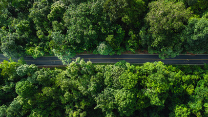 Aerial view of road in green forest and transportation. Nature conservation environment.
