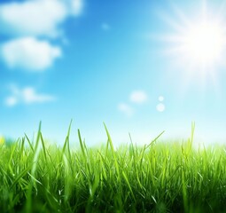 Lush green grass under a bright sunny sky with fluffy clouds.