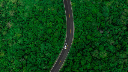 Aerial view of dark green forest road and white electric car Natural landscape and elevated roads...