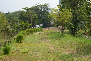 The garden is in a large area with a stretch of grass and a small river flowing amidst the hot sun and long grass