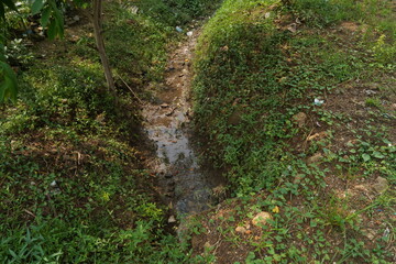 The garden is in a large area with a stretch of grass and a small river flowing amidst the hot sun and long grass