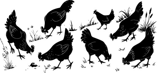 Group of Chickens Foraging on Grass - Farm Animal Silhouette