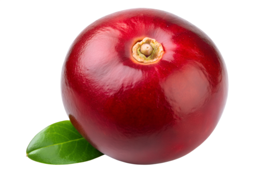 Close Up Cranberry with Leaf on Transparent Background