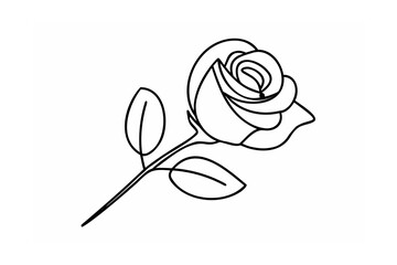Elegant black line art rose with leaves flower bloom